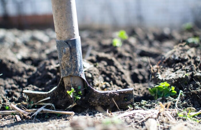 Agriculture Backyard Blur Close Up 296230