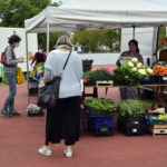 APERTURA MERCATO CONTADINO PARCO STROCCHI VIA VICOLI EMERGENA COVID RAVENNA