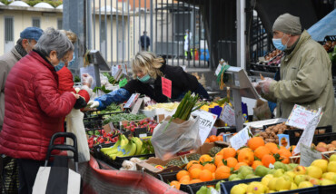 Frutta Mercato Benelli