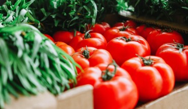 Red Tomatoes 1367243