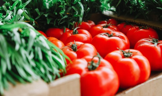 Red Tomatoes 1367243