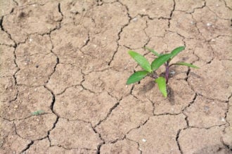 Agricoltura Siccita