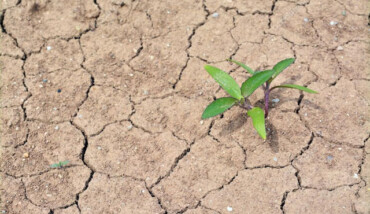 Agricoltura Siccita