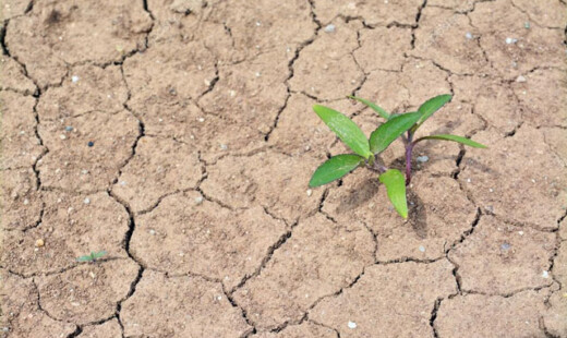 Agricoltura Siccita