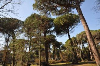 Parco Naturale Cervia