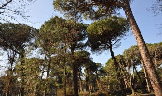 Parco Naturale Cervia
