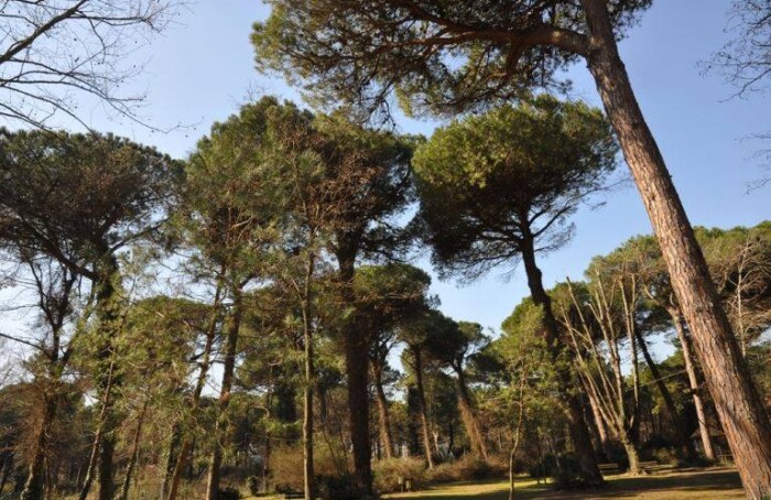 Parco Naturale Cervia