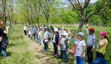 Bambini Animazione Ambiente