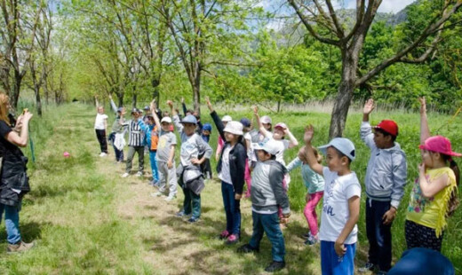 Bambini Animazione Ambiente