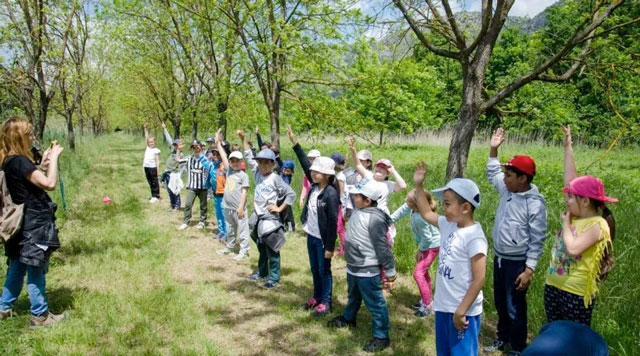 Bambini Animazione Ambiente