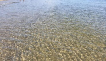 Lido Di Dante Bonaccini