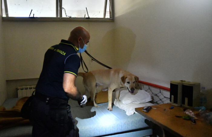 CONTROLLO POLIZIA LOCALE RAVENNA E CINOFILI GUARDIA DI FINANZA OSTELLO DANTE RAVENNA