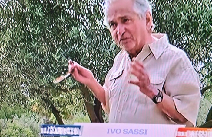 Ivo Sassi