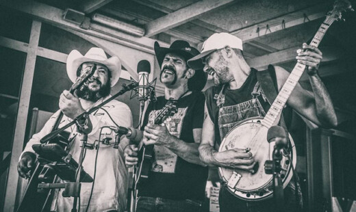 Country Owls