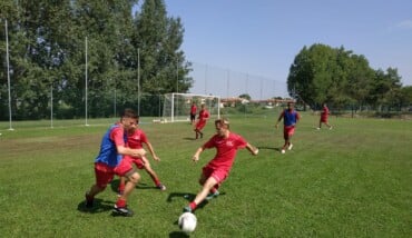 P6 Academy
