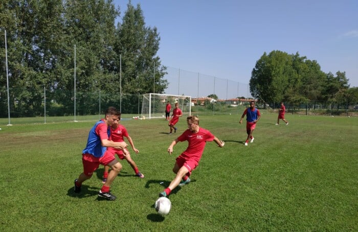 P6 Academy
