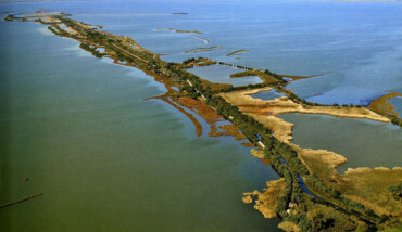 Boscoforte Valle Comacchio 