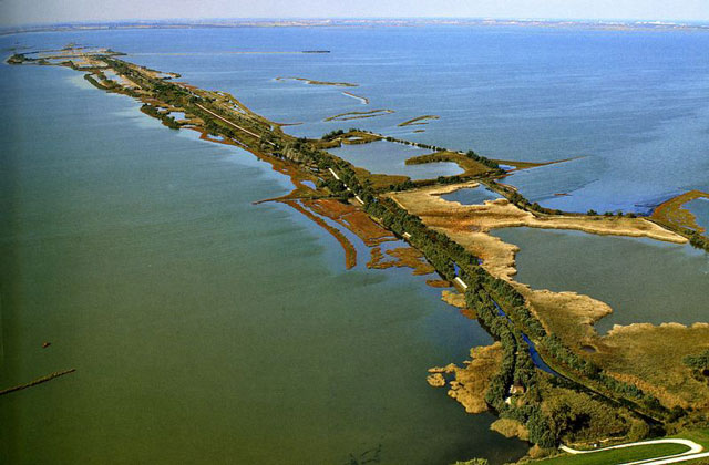 Boscoforte Valle Comacchio