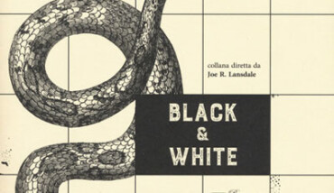 Shiner Black White