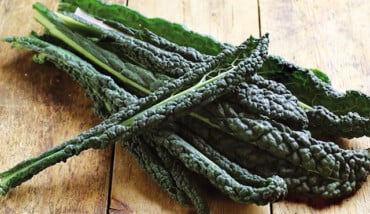 CAVOLO NERO