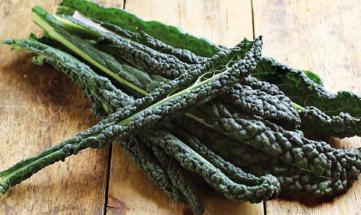 CAVOLO NERO