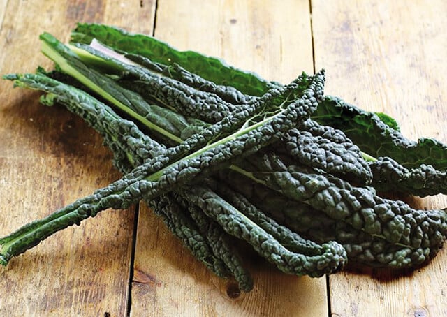 CAVOLO NERO