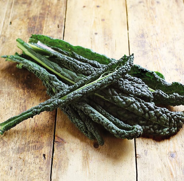 CAVOLO NERO