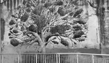 Soundtrack for falling trees 