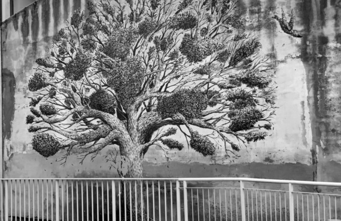 Soundtrack for falling trees