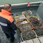 controlli pesca guardia costiera ravenna