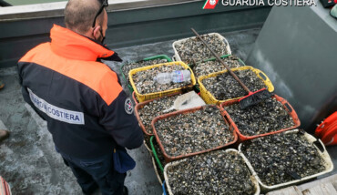 controlli pesca guardia costiera ravenna