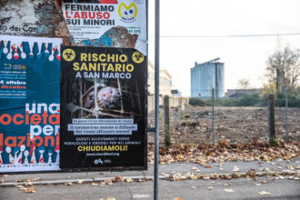 Manifesti visoni Essere Animali