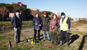 Alberi Pala De André Lions Club