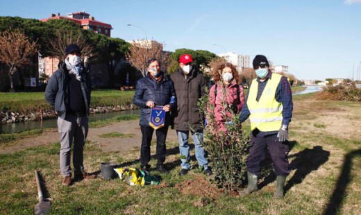 Alberi Pala De André Lions Club