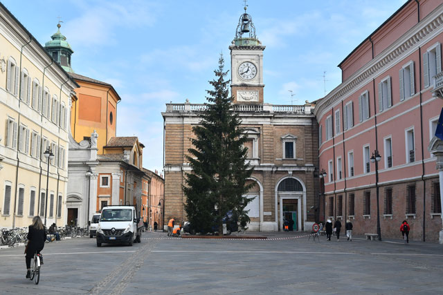 L'albero di Natale 2020 in piazza del Popolo a Ravenna