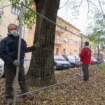 I lavori al parco di piazza Dante, a Faenza