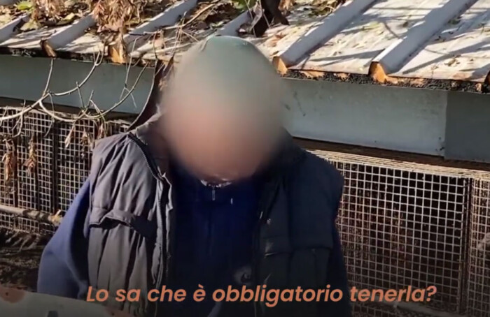 Allevatore San Marco Video Essere Animali
