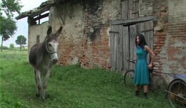 Er Film