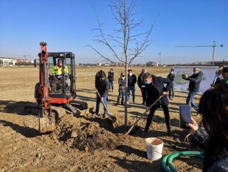 Primo albero parco Cesarea di Ravenna