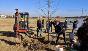 Primo albero parco Cesarea di Ravenna