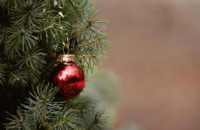 Albero Di Natale 1