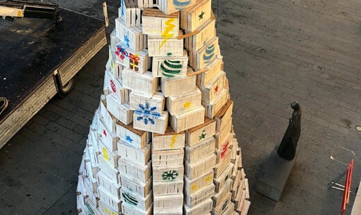 L'albero Di Natale Di Massa Lombarda (1)