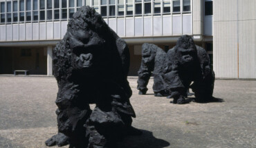 gorilla rivalta tribunale ravenna