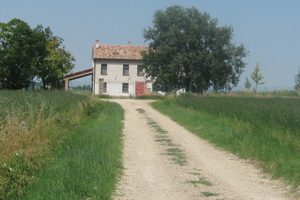 Foto 001