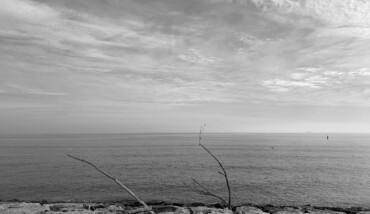 30012021 IMG 6183