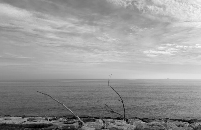 30012021 IMG 6183