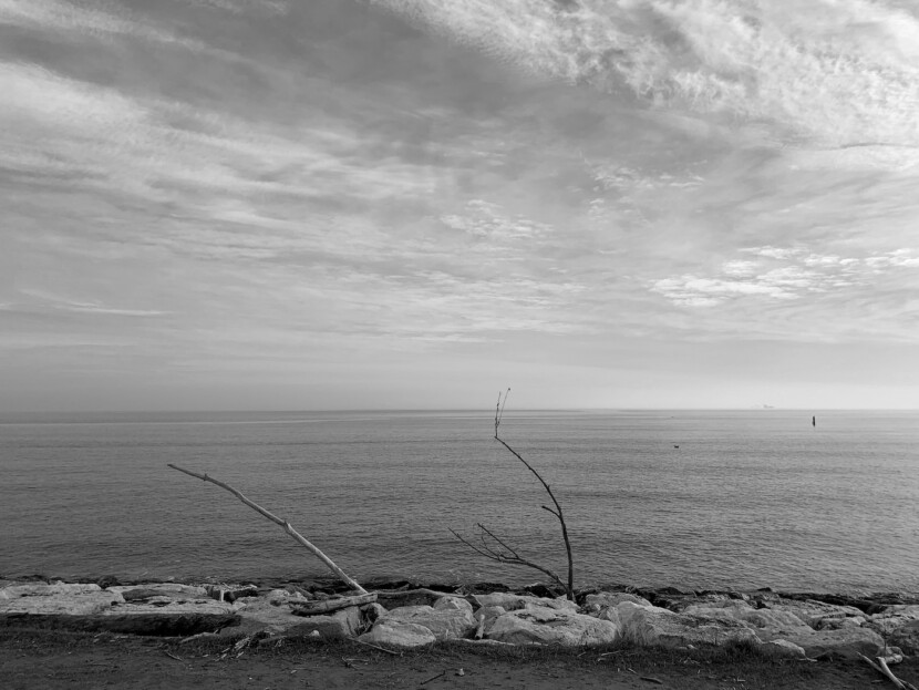 30012021 IMG 6183