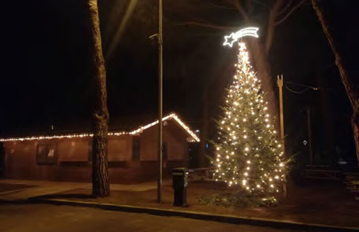 Alberi Natale Opuscolo 3