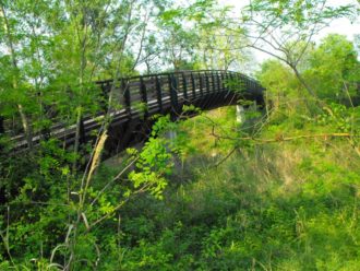 Ponte Legno Castrocaro