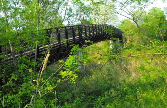 Ponte Legno Castrocaro